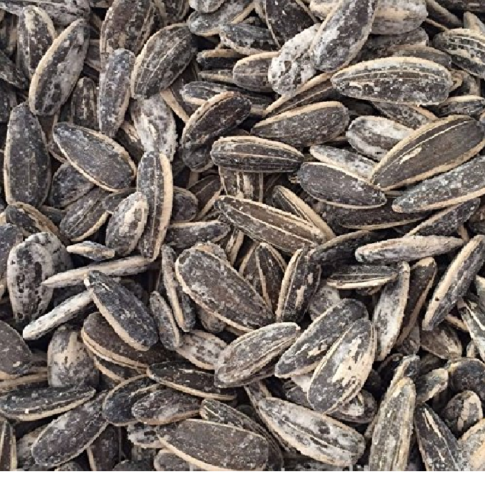 Salted In Shell Sunflower Seeds-Manufacturer-Half Nuts