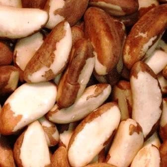 Brazil Nuts - Raw, Unsalted-Manufacturer-Half Nuts