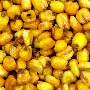 Roasted, Salted Corn-Manufacturer-Half Nuts