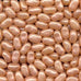 Jelly Belly Beans - Draft Beer-Half Nuts-Half Nuts