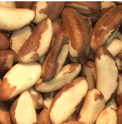 Brazil Nuts - Raw, Salted-Manufacturer-Half Nuts