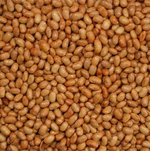 Soy Nuts - Roasted, Salted-Manufacturer-Half Nuts