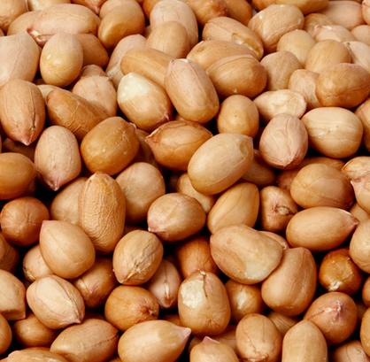 Spanish Peanuts - Raw, Unsalted-Manufacturer-Half Nuts