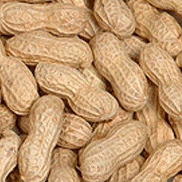 Peanuts in the Shell - Roasted, Salted-Manufacturer-Half Nuts