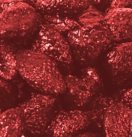Dried Strawberries-Manufacturer-Half Nuts