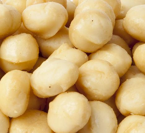 Roasted, Salted Macadamia Nuts-Manufacturer-Half Nuts
