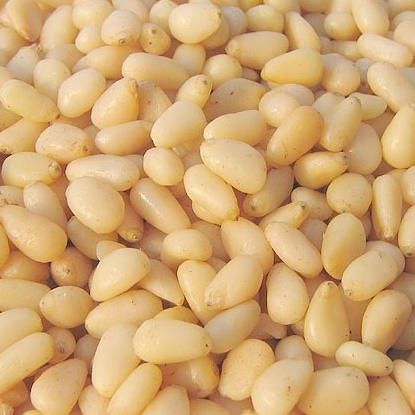 Pine Nuts - Raw, Unsalted-Manufacturer-Half Nuts