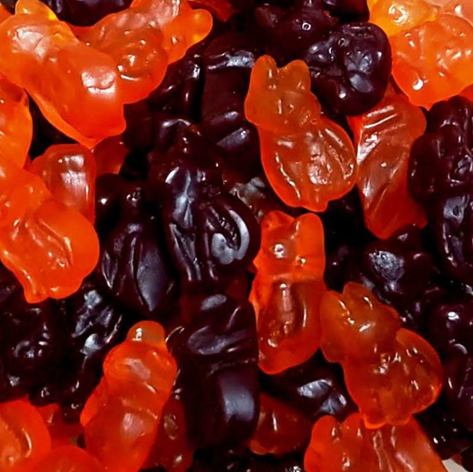 Gummi Cats-Half Nuts-Half Nuts